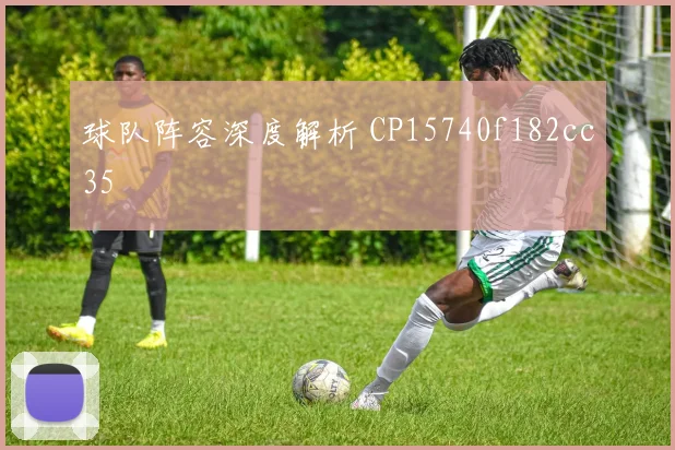球队阵容深度解析 CP15740f182cc35